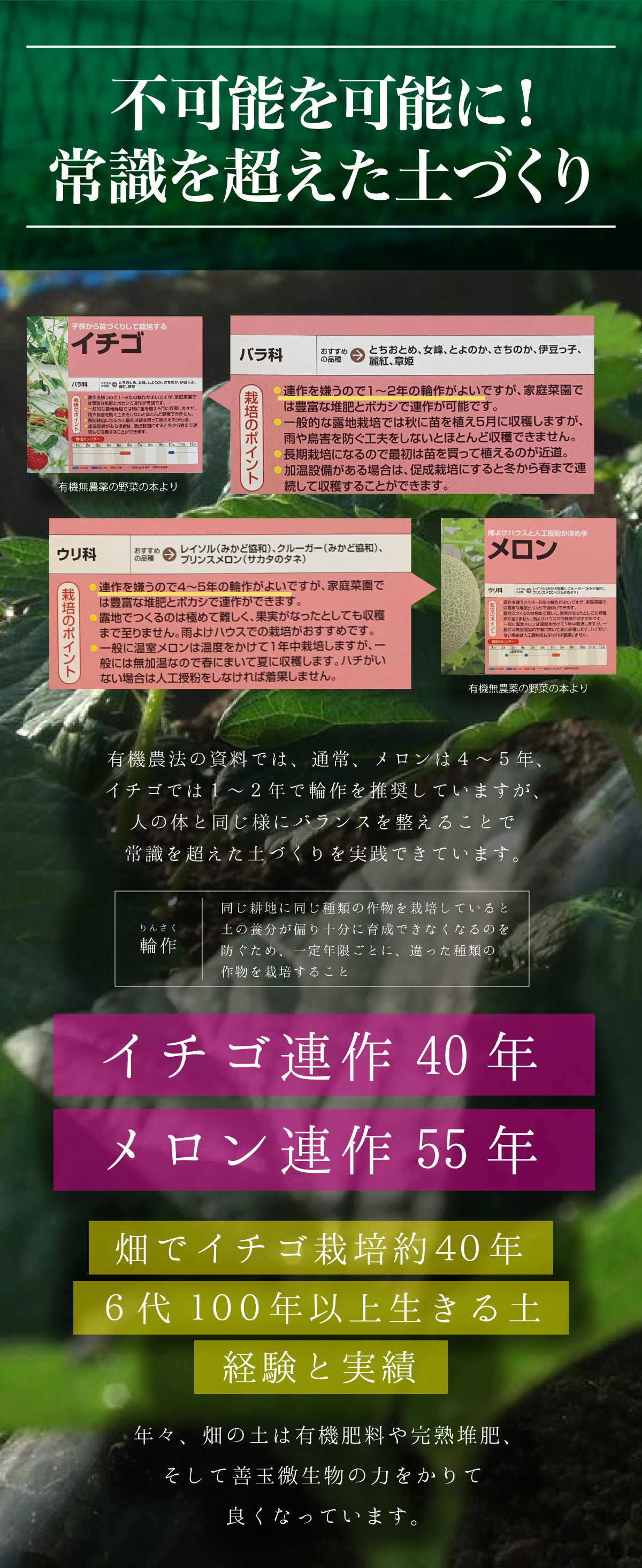 農園 深作