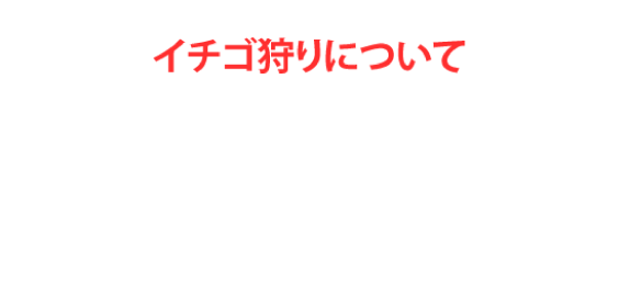 深作農園のいちご狩り