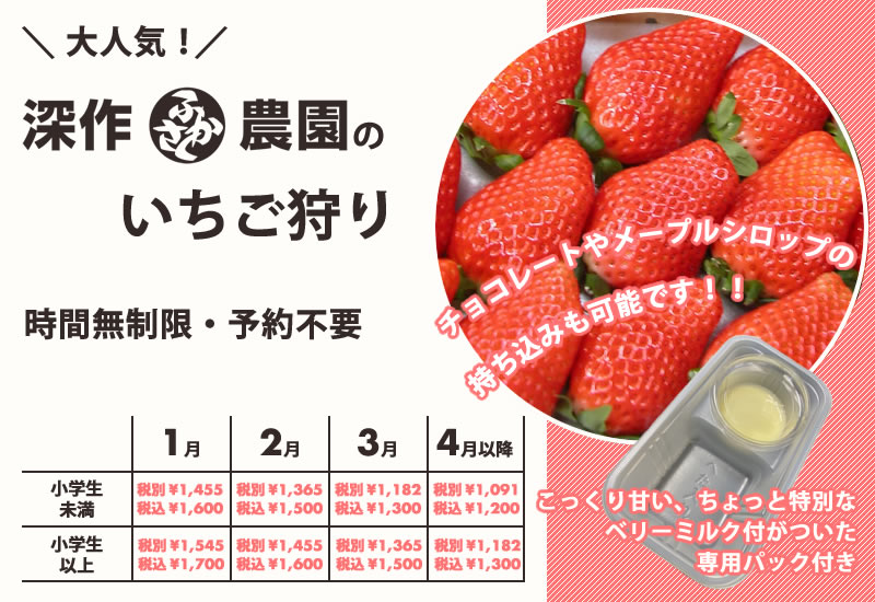 Ichigo Milk 公式 いちご狩り 深作農園 茨城県のイチゴ狩り 水戸 つくば 関東