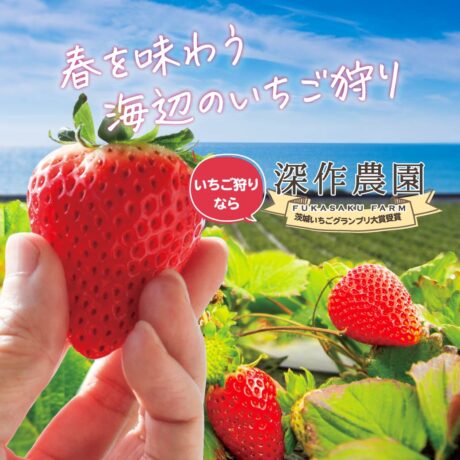 深作農園のいちご狩りがいちご狩りランキング2位に！-いちご狩り