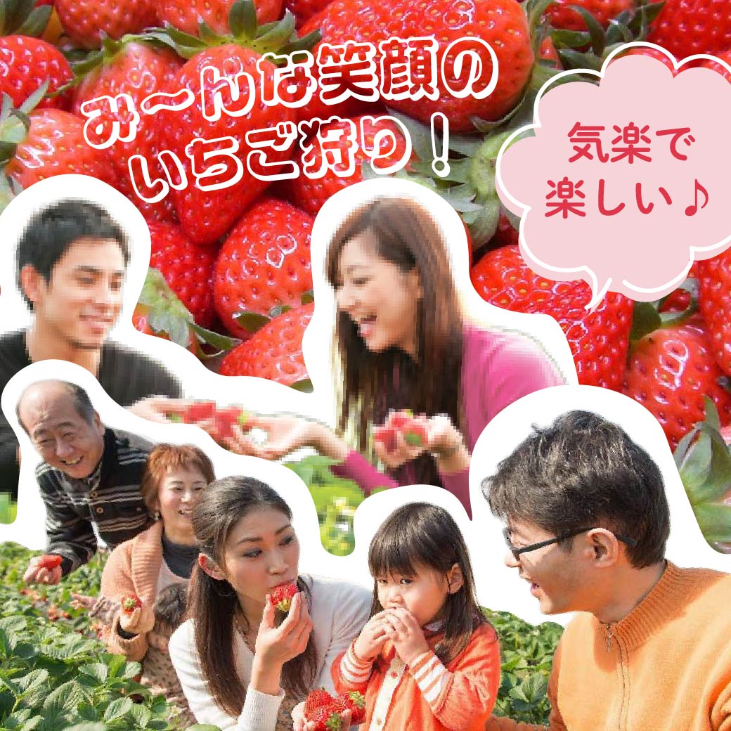 みんなが笑顔のいちご狩り-いちご狩り・いちご直販は深作農園｜茨城県